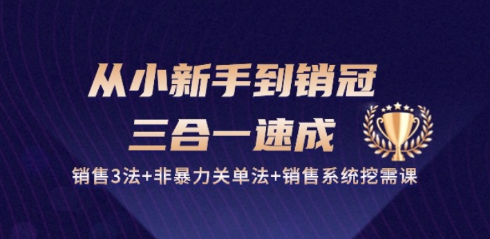 从小新手到销冠 三合一速成：销售3法+非暴力关单法+销售系统挖需课 (27节)-创业资源网