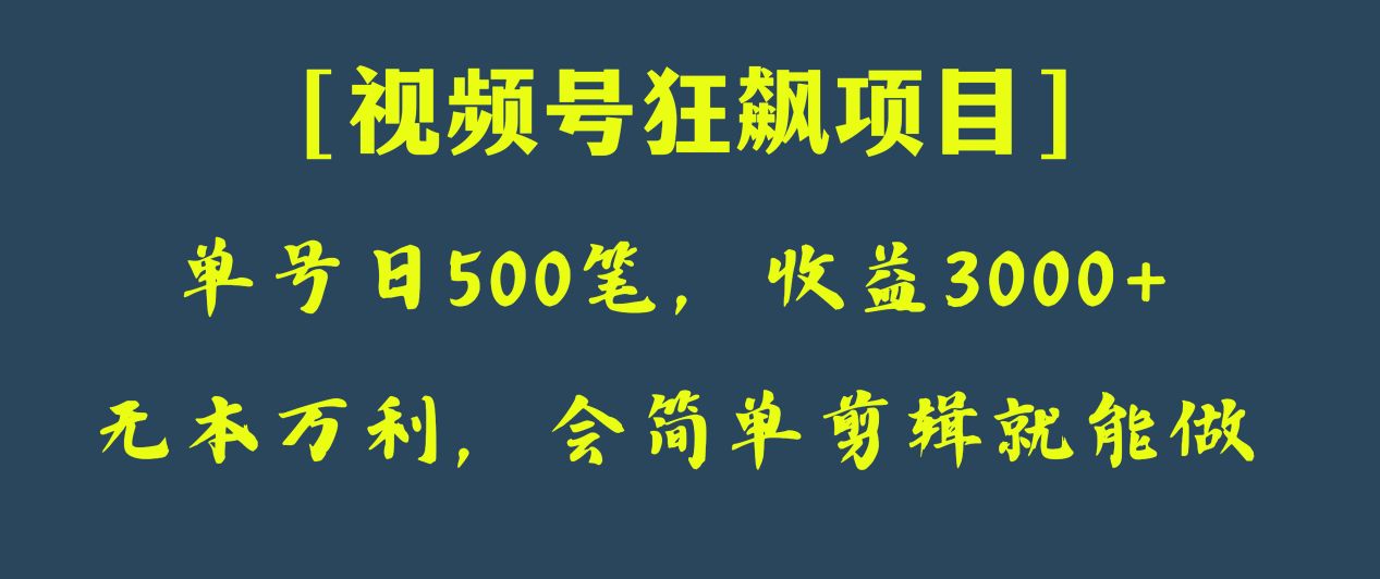 日收付款500笔，净利润3000 ，微信视频号狂飚新项目！-暖阳网-优质付费教程和创业项目大全-创业资源网