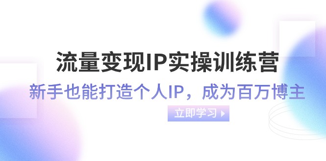 流量变现IP实操训练营：新手也能打造个人IP，成为百万 博主-暖阳网-优质付费教程和创业项目大全-创业资源网