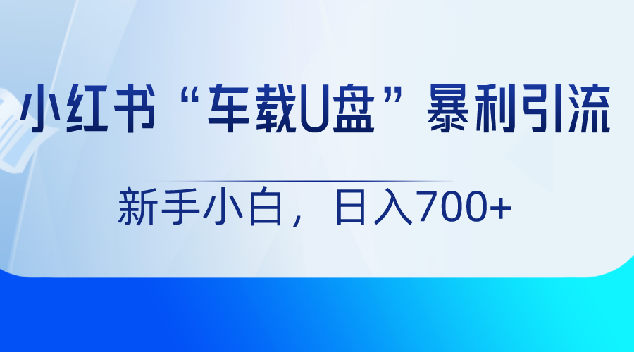 小红书“车载U盘”项目，暴利引流，新手小白轻松日入700+-创业资源网