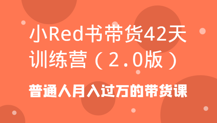 小Red书卖货42天夏令营平常人月入上万的卖货课-创业资源网