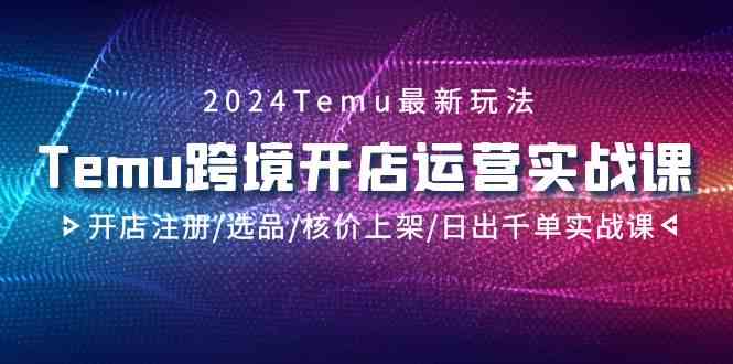 2024Temu跨境电商开店运营实战演练课，开实体店申请注册/选款/核算成本发布/日出千单实战演练课-创业资源网