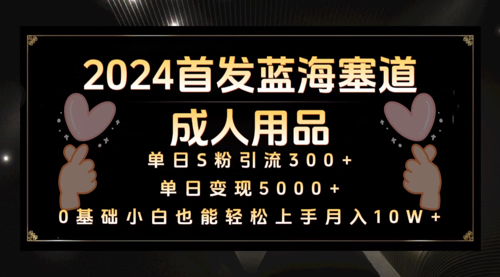 2024先发瀚海塞道两性用品，月入10W 家庭保姆实例教程-创业资源网