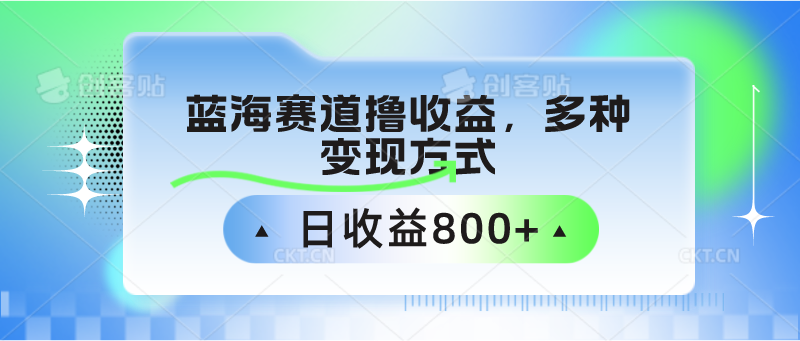 中老年人健身操瀚海跑道撸盈利，多种多样变现模式，日盈利800-创业资源网