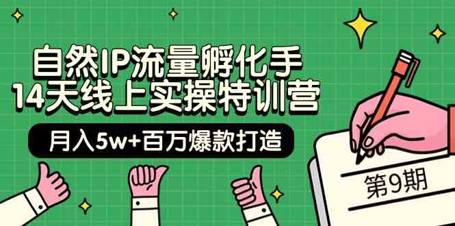 当然IP总流量卵化手14无线天线上实际操作夏令营【第9期】月入5w 上百万爆款打造 (74节)-创业资源网