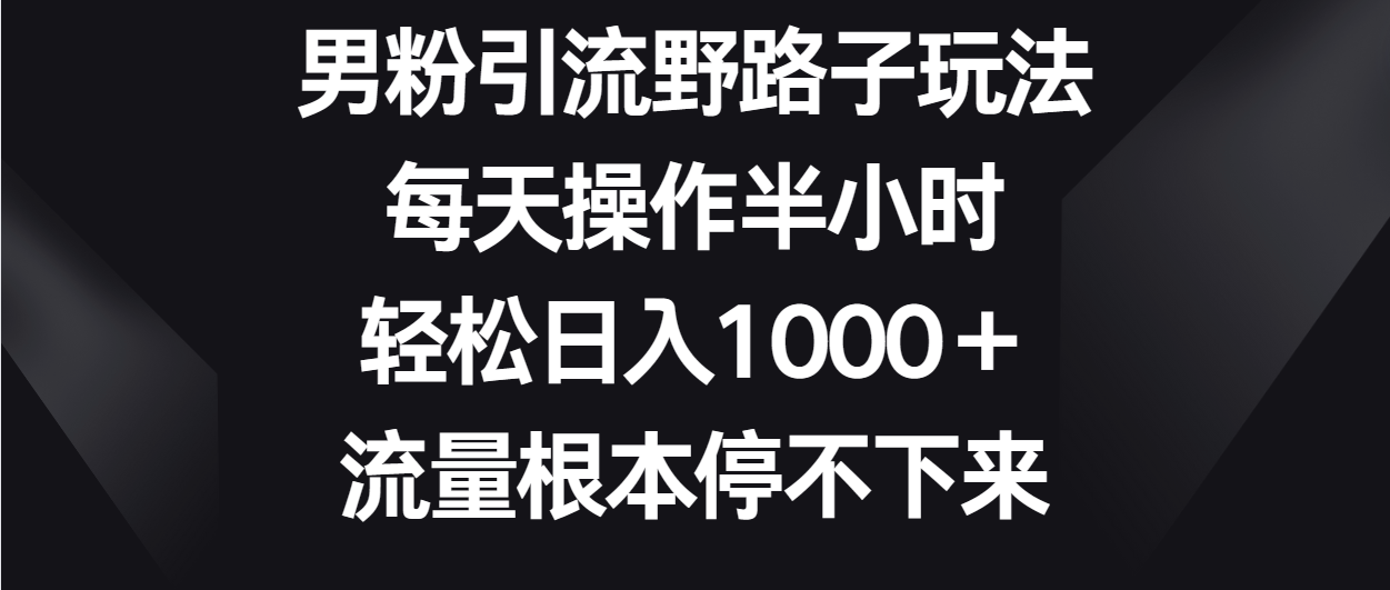 粉丝引流方法歪门邪道游戏玩法，每日实际操作三十分钟轻轻松松日入1000＋，总流量停不下来-创业资源网