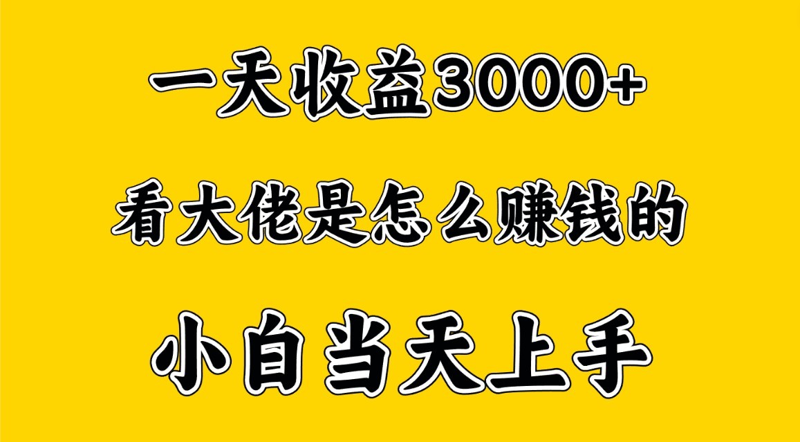 一天赚3000多，大佬是那样赚大钱的，新手当日入门，穷人翻身新项目-创业资源网