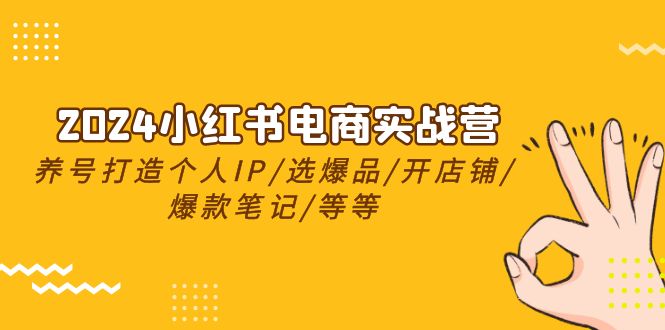 2024小红书电商实战营，起号打造出IP/选爆款/开店铺/爆品手记/等-创业资源网