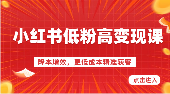 小红书的低筋粉高转现课-降低成本，更低成本营销获客，小红书的必出平台流量登陆密码-创业资源网