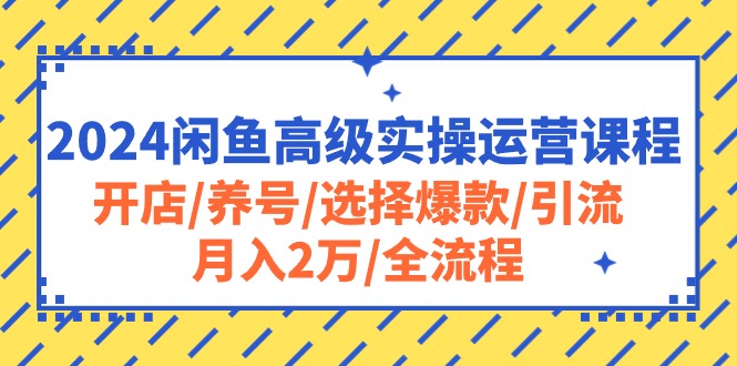 2024闲鱼高级实操运营课程：开店/养号/选择爆款/引流/月入2万/全流程-创业资源网