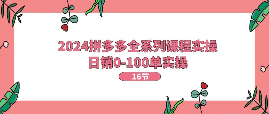 2024拼多多平台全主题课程实际操作，日销0-100单实际操作【16堂课】-创业资源网
