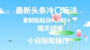 最新头条冷门玩法，隔天就爆，复制粘贴日入500+-创业资源网