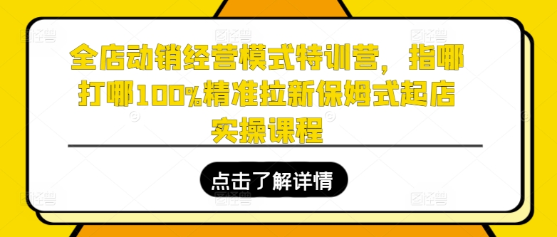 全店动销运营模式夏令营，指哪打哪100%精确引流跟踪服务出单实操课程-创业资源网