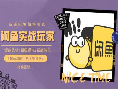 教你如何0到1系统软件轻松玩闲鱼平台转现，爆品逻辑思维/非常曝出/极高转换-创业资源网