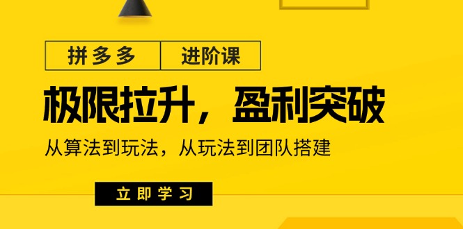 拼多多平台升阶课：极限值拉涨/赢利提升：从优化算法到游戏玩法 从模式到团队搭建-创业资源网