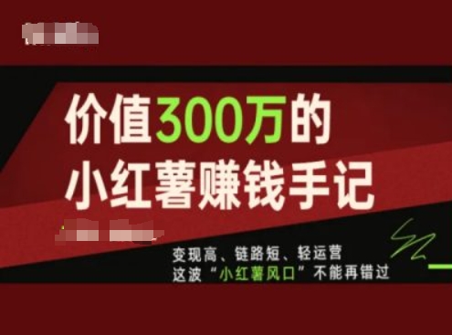 使用价值300万的小红书挣钱笔记，转现高、链接短、轻运营，这一波“小红书出风口”无法再错过了-创业资源网