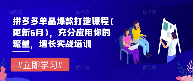 拼多多平台品类爆款打造课程内容(升级6月)，充分应用你的流量，提高实战培训-创业资源网