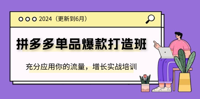 2024拼多多平台-品类爆款打造班(升级6月)，充分应用你的流量，提高实战培训-创业资源网