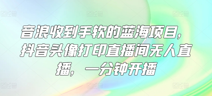 音浪收到手软的蓝海项目，抖音头像打印直播间无人直播，一分钟开播-创业资源网