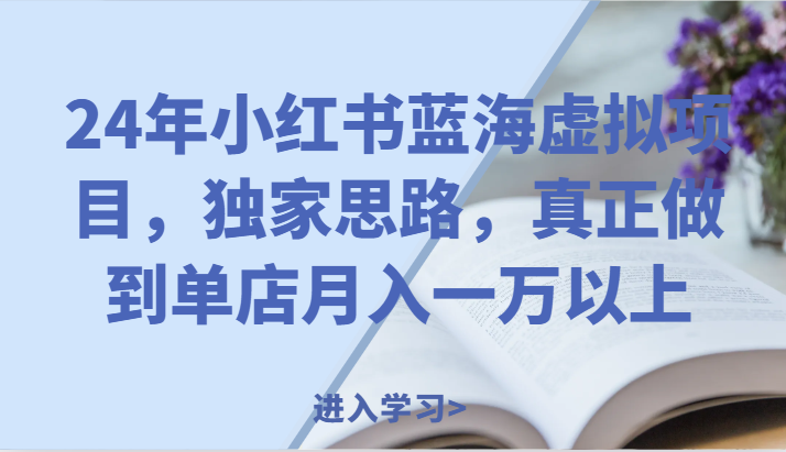 24年小红书的瀚海虚拟资源项目，独家代理构思，充分体现门店月入一万之上。-创业资源网