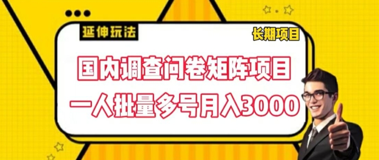 国内调查问卷矩阵项目，一人批量多号月入3000【揭秘】-创业资源网