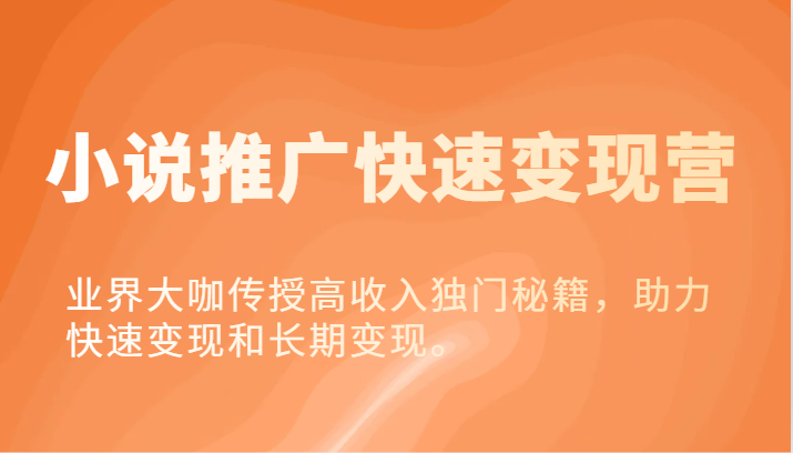 小说集营销推广收益最大化营-业内大佬教给高工资独门秘籍，助推收益最大化或长期转现。-创业资源网
