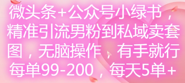 头条 微信公众号小绿书，精准引流方法粉丝到公域卖套图，没脑子实际操作，有手就行，每一单99-200，每日5单-创业资源网