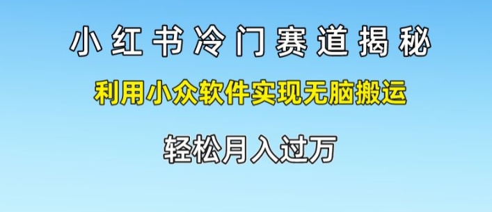 小红书的小众跑道揭密，运用小众软件完成没脑子运送，轻轻松松月入了万-创业资源网