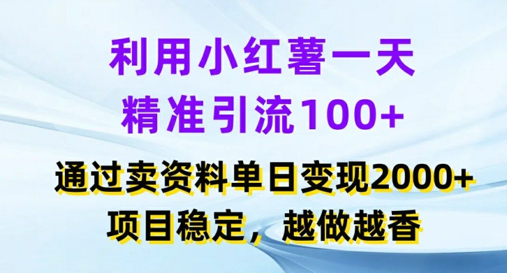 运用小红书的一天精准引流方法100 ，根据卖项目单日转现2k ，新项目平稳，越干越香【揭密】-创业资源网