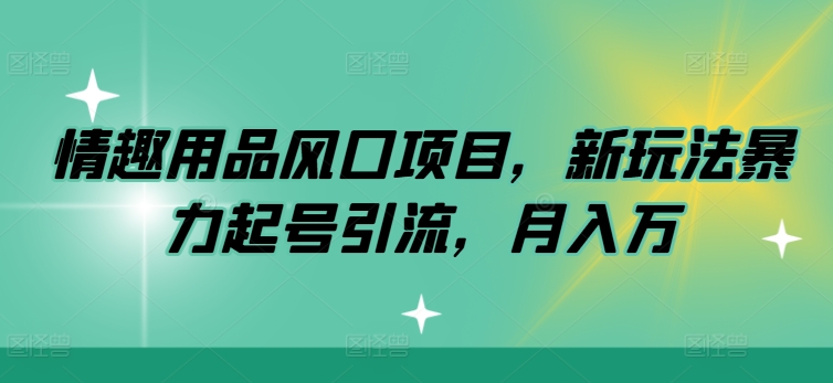 情趣用具蓝海项目，新模式暴力行为养号引流方法，月入万-创业资源网