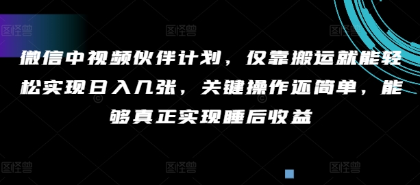 手机微信中视频伙伴方案，只靠运送就能轻轻松松完成日入多张，重要实际操作还简单，可以更好的完成睡后盈利-创业资源网