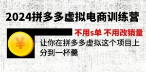 2024拼多多虚拟电商训练营 不s单 不改销量  做虚拟项目分一杯羹(更新10节)-创业资源网