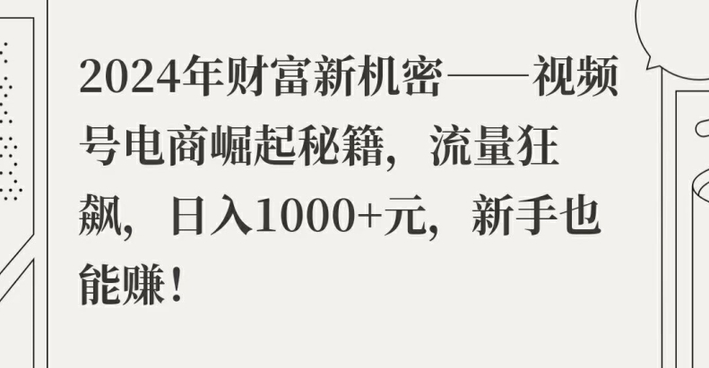 2024年财富新机密——视频号电商崛起秘籍，流量狂飙，日入1k元，新手也能赚-创业资源网