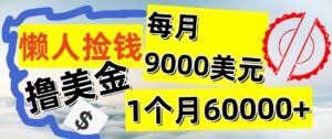 懒人捡钱撸美金项目，月收益9000+美金，简单无脑，干就完了【揭秘】-创业资源网