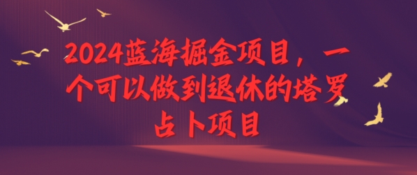 2024瀚海掘金队新项目，一个能做到退休塔罗牌占卜新项目-创业资源网