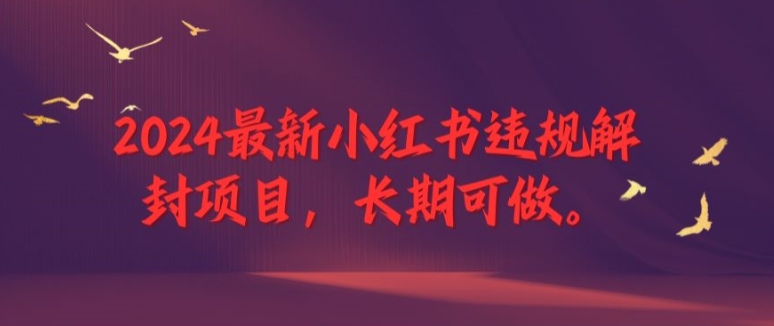 2024全新小红书违规解除限制新项目，长期性能做，一个能做到退休新项目【揭密】-创业资源网