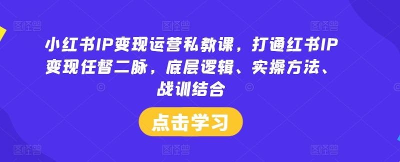 小红书IP变现运营私教课，打通红书IP变现任督二脉，底层逻辑、实操方法、战训结合-创业资源网