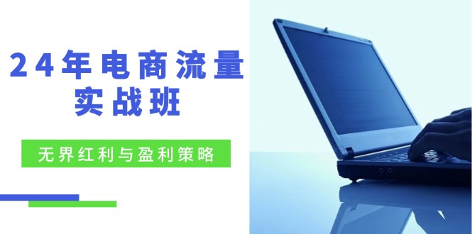 24年电商流量实战班：无界 红利与盈利策略，终极提升/关键词优化/精准…-创业资源网