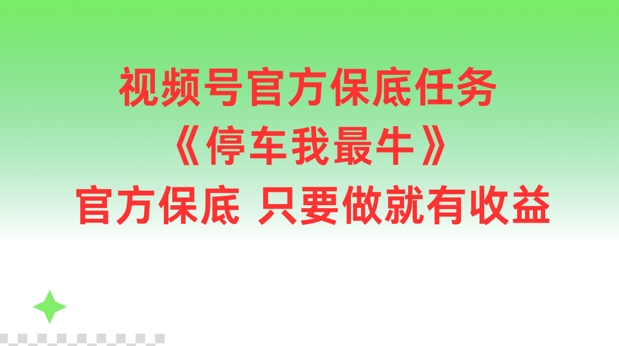 微信视频号官方网最低每日任务，泊车我最牛，官方网最低只要做就会有盈利【揭密】-创业资源网