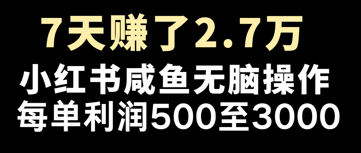 七天挣了2.7万！每单利润至少500 ，轻轻松松月入5万 新手有手就行-创业资源网