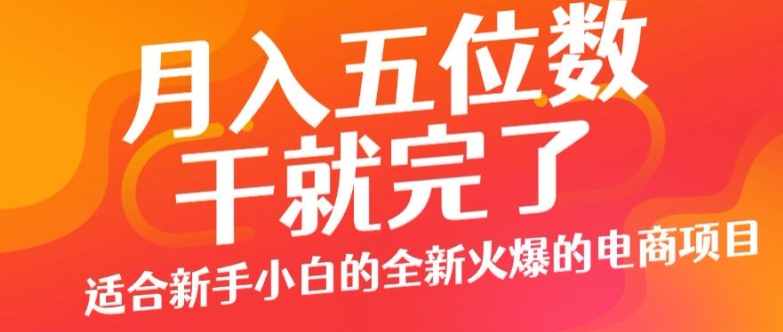 月入五位数，干就完了， 适宜新手入门一个全新的火热的电商项目-创业资源网