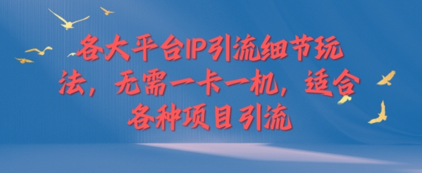 各个平台IP引流方法小细节游戏玩法，不用一卡一机，适用于各种新项目引流方法-创业资源网