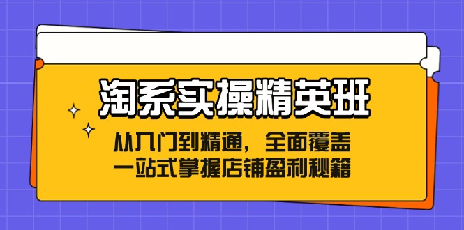 淘系实操精英班：从入门到精通，全面覆盖，一站式掌握店铺盈利秘籍-创业资源网