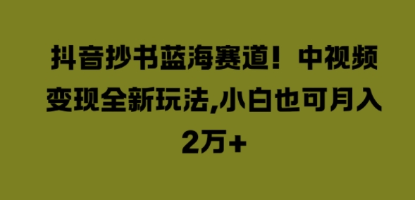 抖音抄书蓝海赛道，中视频变现全新玩法，小白也可月入2W+-创业资源网