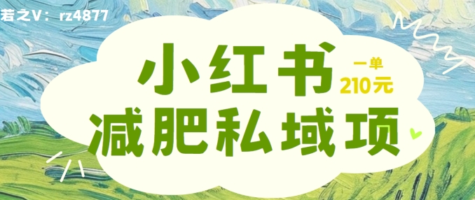 小红书减肥粉，私域变现项目，一单就达210元，小白也能轻松上手【揭秘】-创业资源网