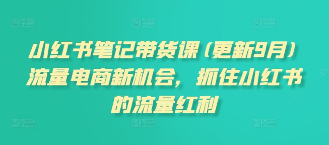 小红书笔记带货课(更新9月)流量电商新机会，抓住小红书的流量红利-创业资源网