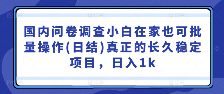 国内问卷调查小白在家也可批量操作(日结)真正的长久稳定项目，日入1k【揭秘】-创业资源网