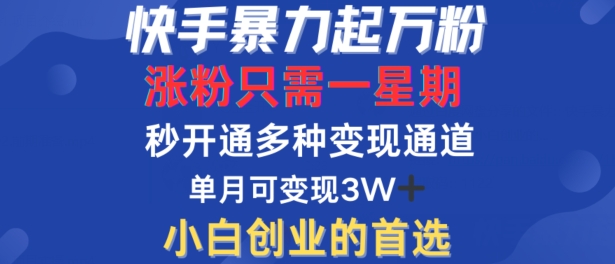 快手暴力起万粉，涨粉只需一星期，多种变现模式，直接秒开万合，单月变现过W【揭秘】-创业资源网