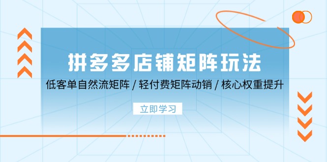 拼多多店铺矩阵玩法：低客单自然流矩阵 / 轻付费矩阵 动销 / 核心权重提升-创业资源网