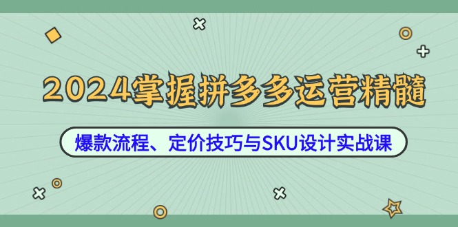 2024掌握拼多多运营精髓：爆款流程、定价技巧与SKU设计实战课-创业资源网